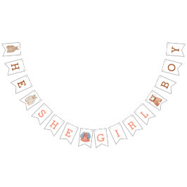 Hij meisje Geslacht Rundert de bundelbanner Vlaggetjes