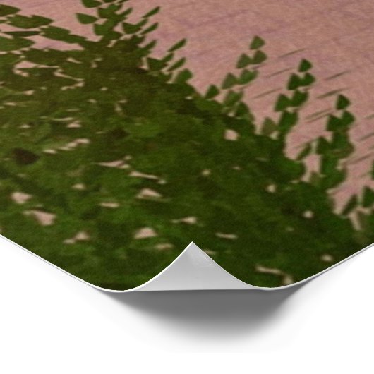 Hij met die eenden poster (Hoek)