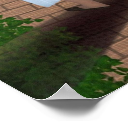 Hij met die eenden poster (Hoek)