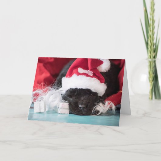 Hij "neus: als je stoute kaart bent geweest (Voorkant)