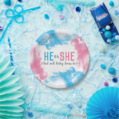 Hij of zij Baby Geslacht Rook Bomb Papieren Bordje (Feest)