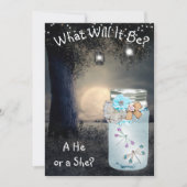 Hij of zij, Baby shower Gender Reveal Dragonfly Kaart (Voorkant)