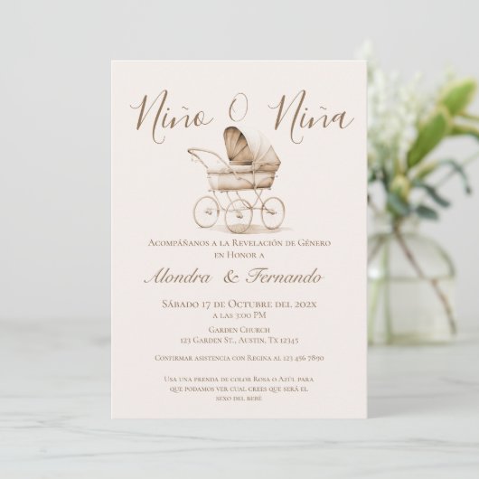 Hij of zij Boho Baby Stroller Gender Reveal Invita Kaart (Staand voorkant)