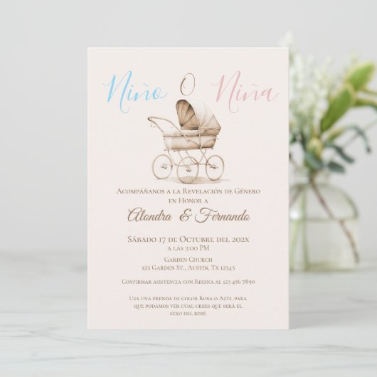 Hij of zij Boho Baby Stroller Gender Reveal Invita Kaart (Staand voorkant)