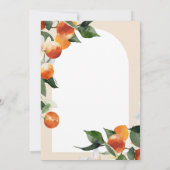 Hij of zij Citrus Oranje groen Geslacht onthullen Kaart (Achterkant)