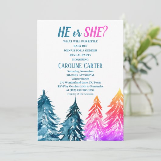 Hij of zij jongen of meisje winter Baby shower Kaart (Staand voorkant)