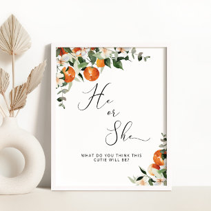 Hij of zij laat zien hoe klein het geslacht is poster