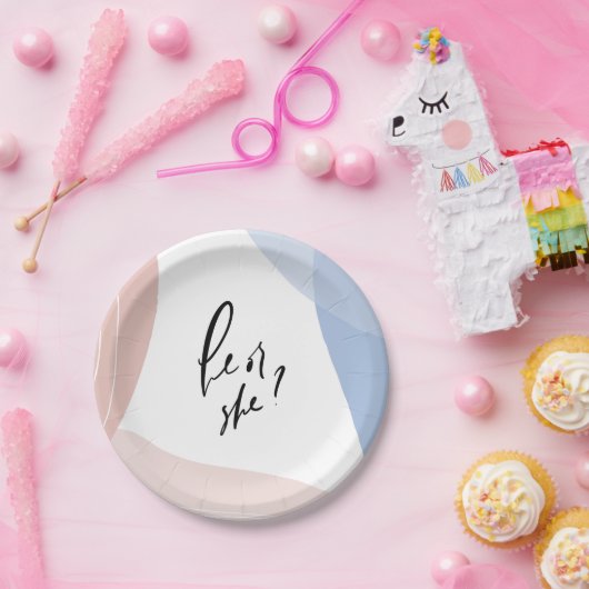 Hij of zij onthullen partijverklaring papieren bordje (Feest)