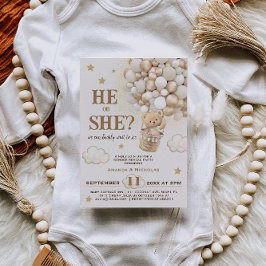 Hij of zij onthult teddyberen ballonnen kaart