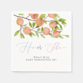 Hij of zij Peach Gender onthullen Party servetten (Voorkant)