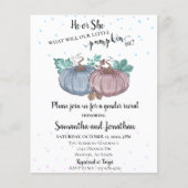 Hij of zij roze blauw pomkin Gender Reopenbaart he Flyer (Voorkant)