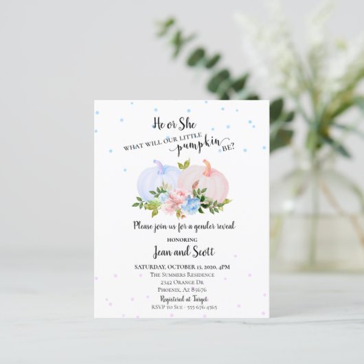 Hij of zij roze blauw pompoen (Staand voorkant)