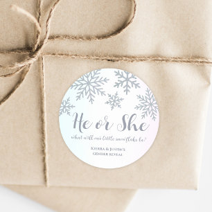 Hij of zij Roze Blauwe Winter Sneeuwvlok Geslacht Ronde Sticker