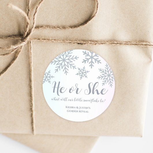 Hij of zij Roze Blauwe Winter Sneeuwvlok Geslacht  Ronde Sticker