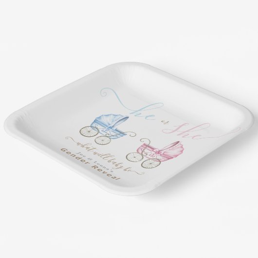 Hij of Zij Roze of Blauwe Kinderwagens Gender Reve Papieren Bordje (Gebogen)