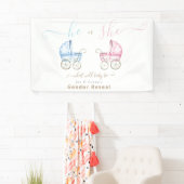 Hij of Zij, Roze of Blauwe Wandelwagen Geslacht On Spandoek (Insitu)