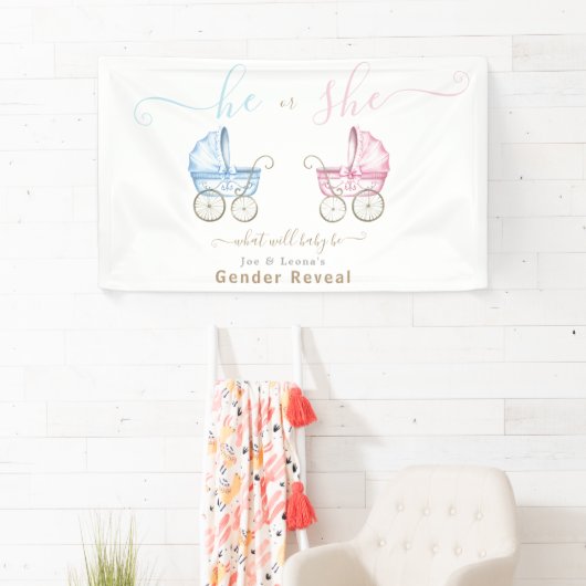 Hij of Zij, Roze of Blauwe Wandelwagen Geslacht On Spandoek (Insitu)