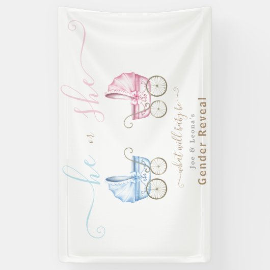 Hij of Zij, Roze of Blauwe Wandelwagen Geslacht On Spandoek (Verticaal)