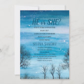 Hij of zij Snowflake Winter Wonderland Baby shower Kaart (Voorkant)