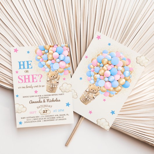 Hij of zij Teddy Beer Hete Luchtballon Geslacht On Kaart