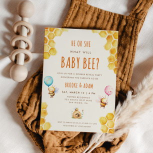 Hij of zij wat zal Baby zijn Gender Reveal Party Kaart