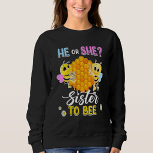 Hij of zij zuster om Baby shower te laten zien Trui