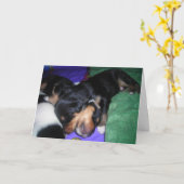 HIJ SCHILDERT ZWAAR, HIJ IS MIJN BROER. VERJAARDAG KAART (Gele Bloem)