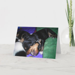 HIJ SCHILDERT ZWAAR, HIJ IS MIJN BROER. VERJAARDAG KAART