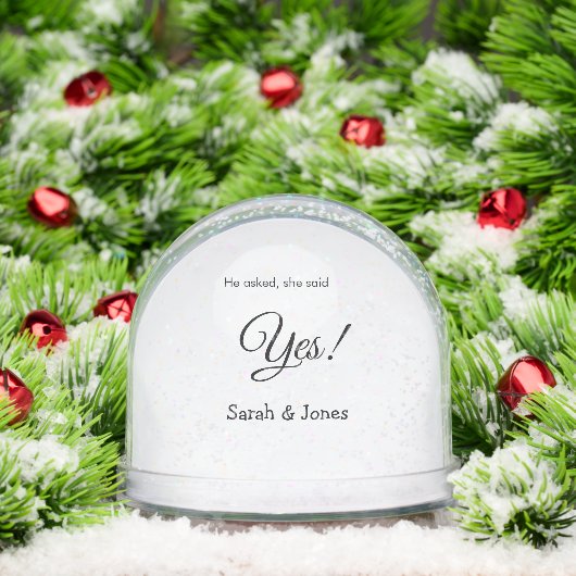 Hij vroeg zij zei ja bruiloft eenvoudig minimaal sneeuwbol (Kerstmis)