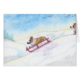 Hij was een snelheidsvesting