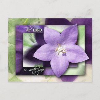 Hij zal je stilhouden met zijn liefde briefkaart