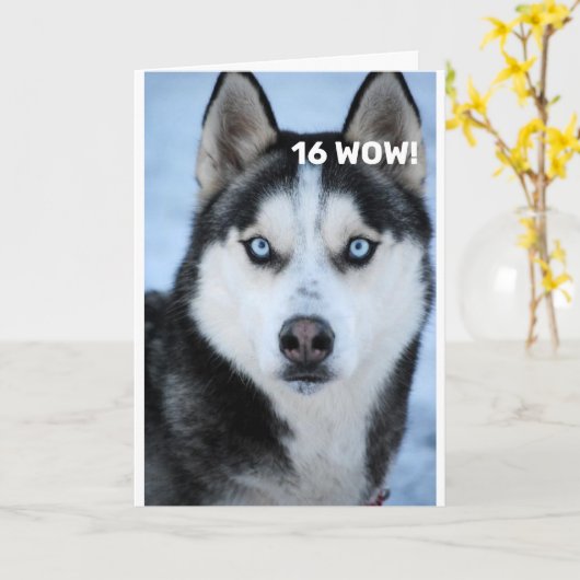 HIJ ZEGT WAAROM OH WAAROM "16e VERJAARDAG" HUMOR K Kaart (Gele Bloem)