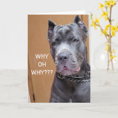 HIJ ZEGT WAAROM WAAROM DE "70e BIRTHDAY"-HUMOR Kaa Kaart (Gele Bloem)