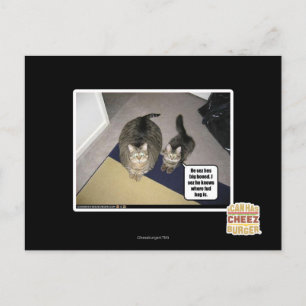 Hij ziet haar groot uitgebeend. briefkaart