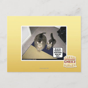 Hij ziet haar groot uitgebeend. briefkaart