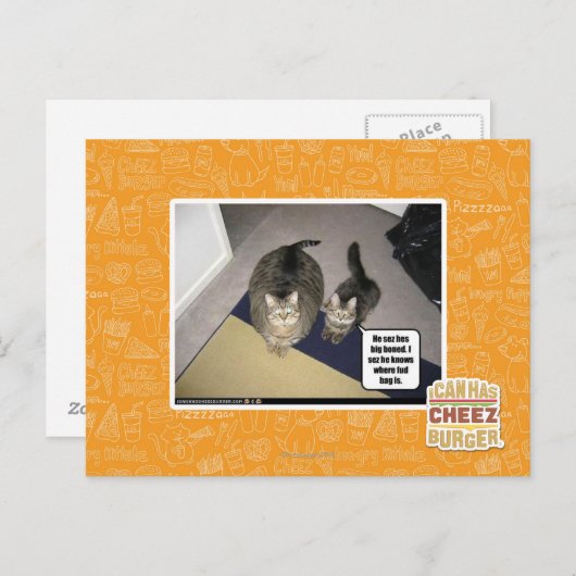 Hij ziet haar groot uitgebeend. briefkaart (Voorkant / Achterkant)