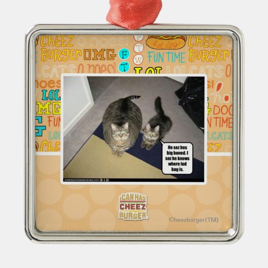 Hij ziet zijn grote beenderen. metalen ornament (Voorkant)