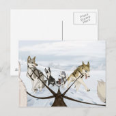 Hike Briefkaart (Voorkant / Achterkant)