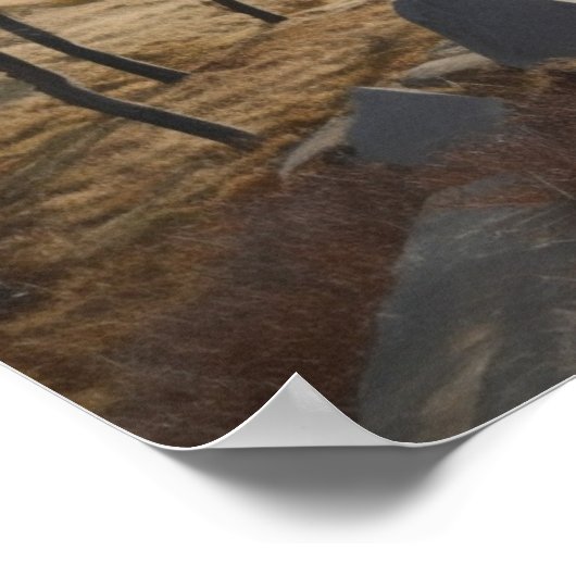 Hiker in de heuvels poster (Hoek)