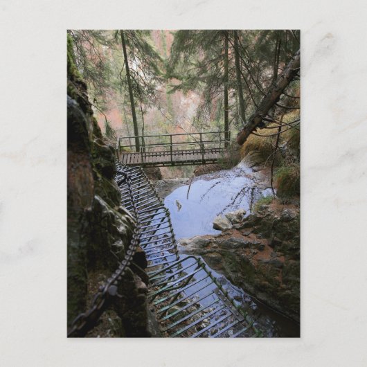 Hikin in Slowakije Briefkaart (Voorkant)