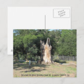 Hiking in Pleasanton, CA 6 Briefkaart (Voorkant / Achterkant)