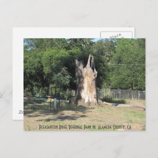 Hiking in Pleasanton, CA 6 Briefkaart (Voorkant / Achterkant)