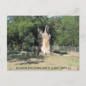 Hiking in Pleasanton, CA 6 Briefkaart (Voorkant)