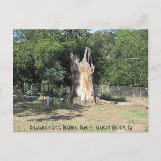 Hiking in Pleasanton, CA 6 Briefkaart (Voorkant)