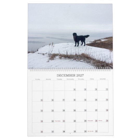 Hiking met Hazel 2022-agenda Kalender (Dec 2027)