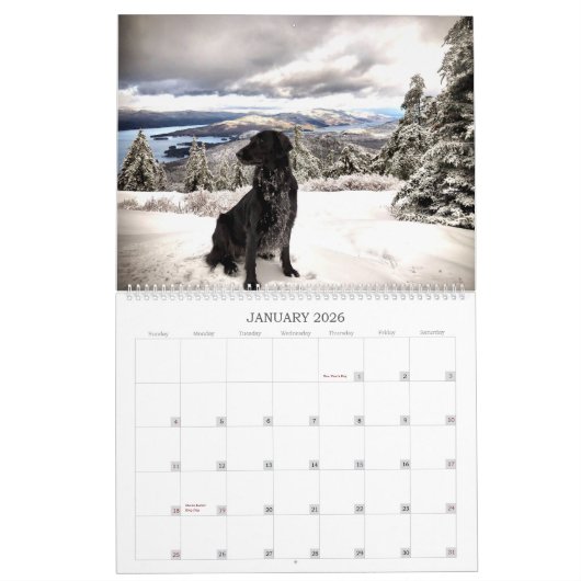 Hiking met Hazel 2022-agenda Kalender (Jan 2026)