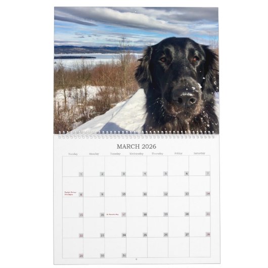 Hiking met Hazel 2022-agenda Kalender (Mar 2026)