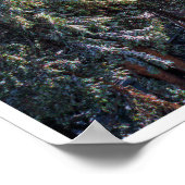 Hiking the Lakes Basin Poster (Hoek)