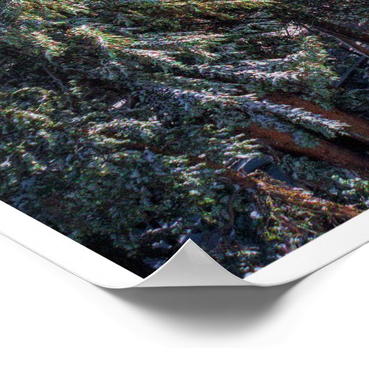 Hiking the Lakes Basin Poster (Hoek)