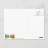 Hiking Thórsmörk, IJslands Briefkaart (Achterkant)